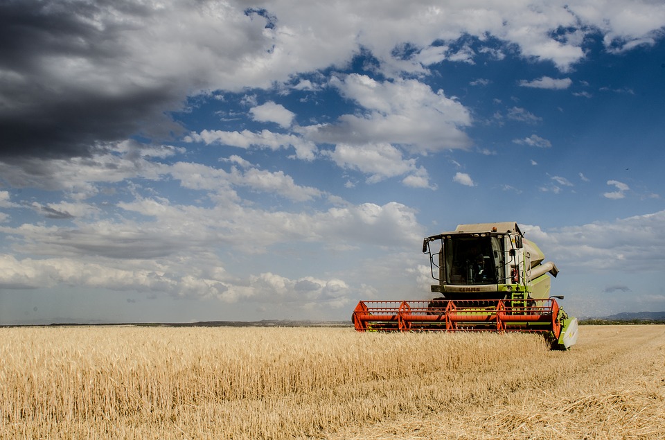 Agricoltura, calamità naturali: aperte le procedure per i risarcimenti