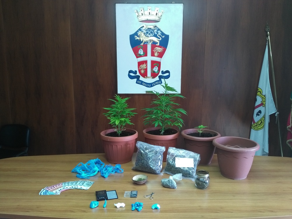 Arrestato spacciatore: sequestrate 4 piante di marijuana e mezzo chilo di droga