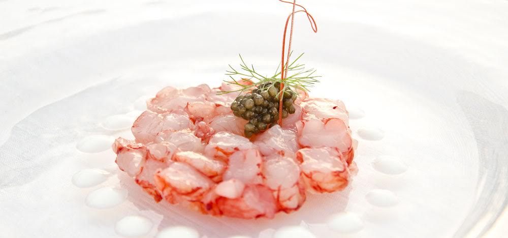 Bacchus Ristorante: ecco la Tartare di gamberi maionese ai fiori di zucca