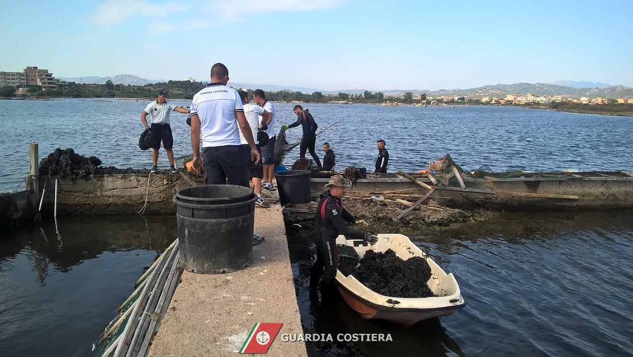 Olbia. Scoperto allevamento abusivo di cozze e anguille nella Peschiera: maxi sequestro