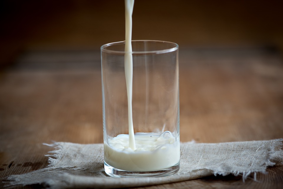 Sardegna, prezzo del latte: la Lega scende in campo con gli allevatori