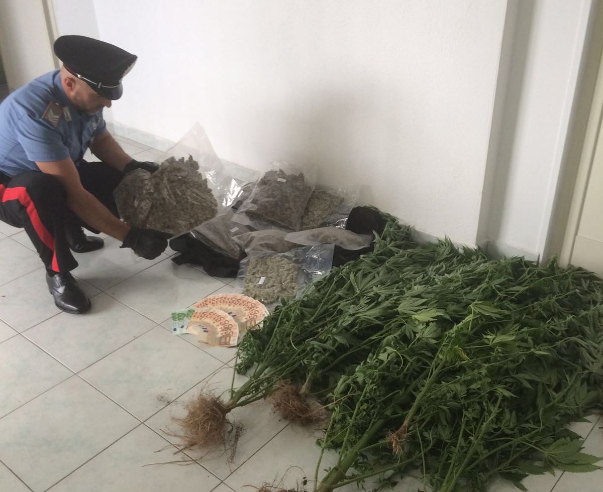 Porto San Paolo, trovato con 3kg di marijuana: arrestato giovane olbiese