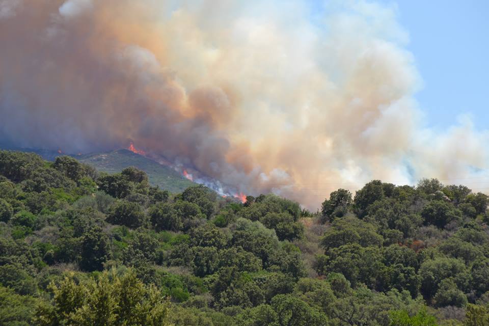 Olbia, incendio tra le campagne di Berchideddu: diversi i focolai