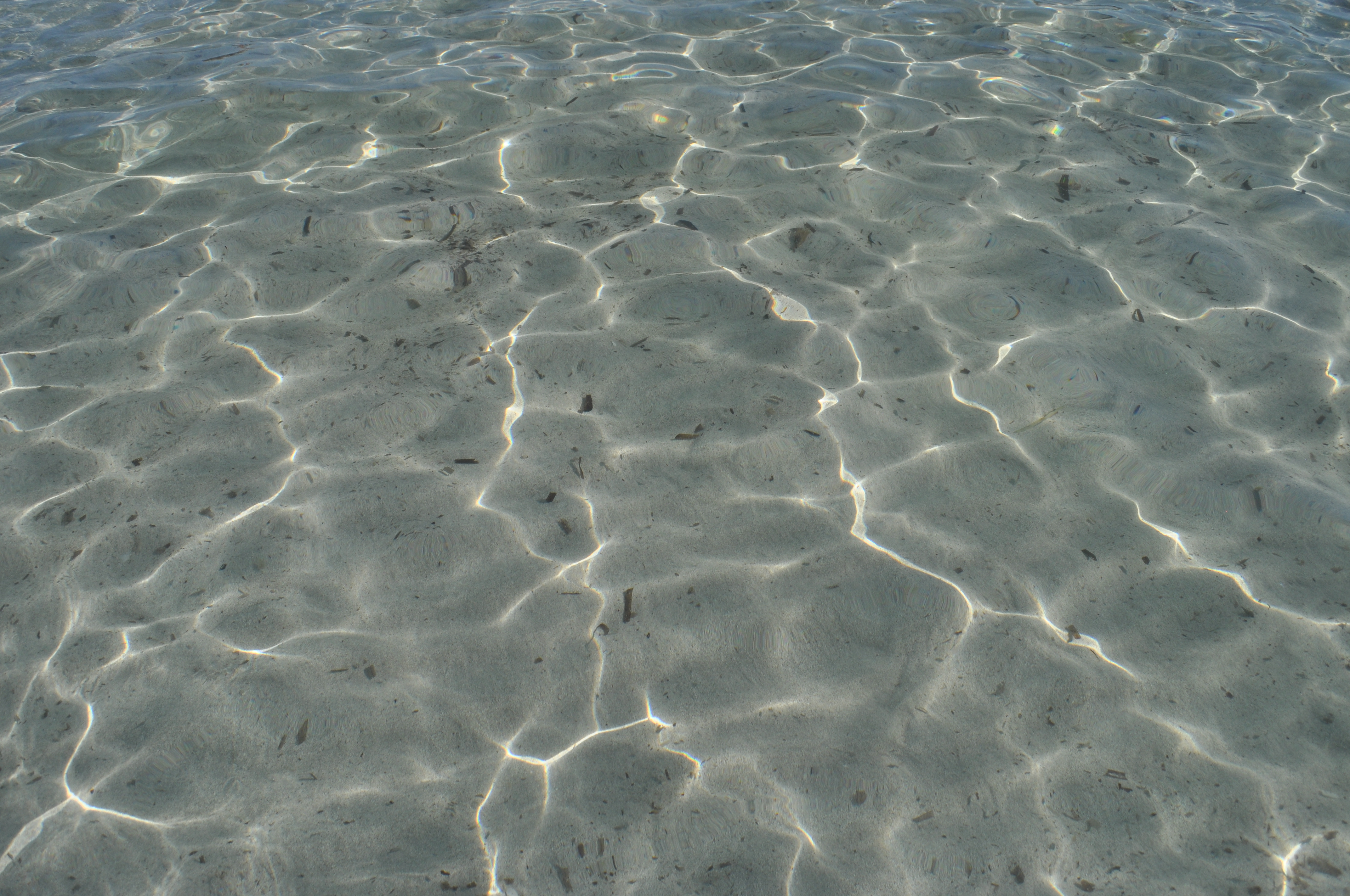 Brevettato il mare sardo: ecco il perché