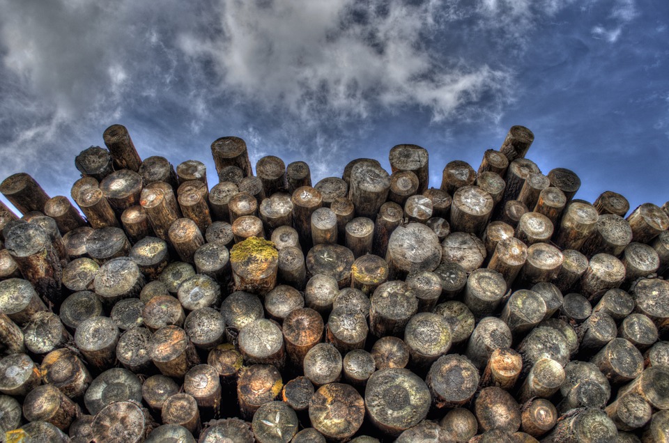 Palau, legna da ardere: ecco la concessione gratuita
