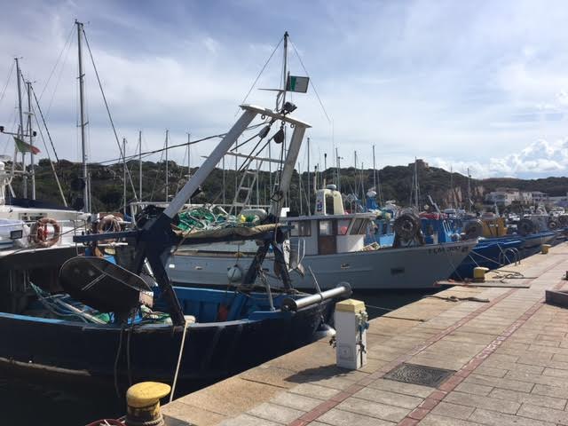 Santa Teresa. Pesca e nuove normative: successo per l'incontro con la Capitaneria