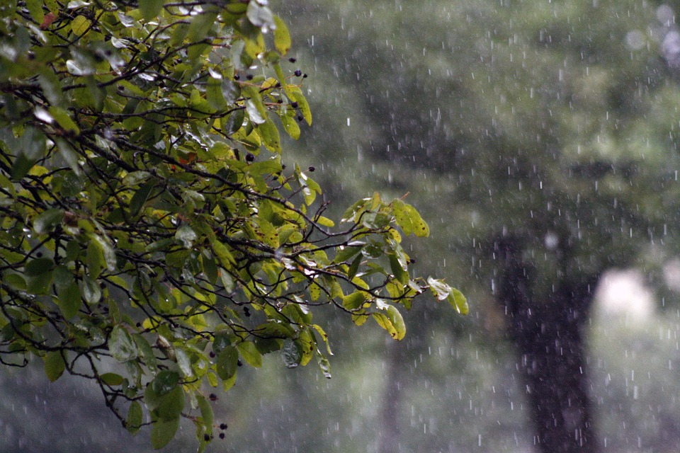 Meteo, si alzano le temperature: attesi temporali nel weekend