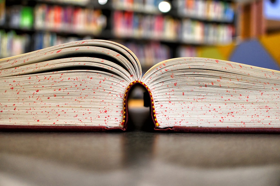 Olbia: Sardinia Ferries dona 600 libri alle scuole olbiesi e golfarancine