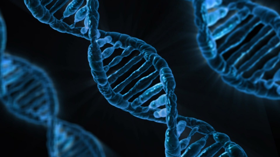 Studio sul DNA dei primi sardi: patrimonio genetico diverso dal nostro