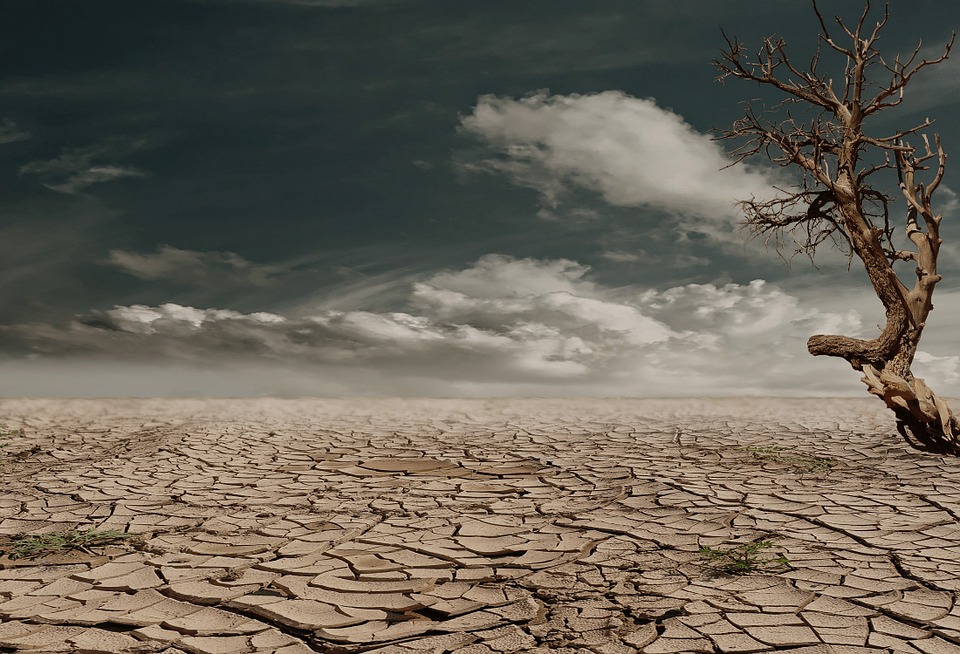 Gallura, emergenza siccità: territorio fortemente a rischio