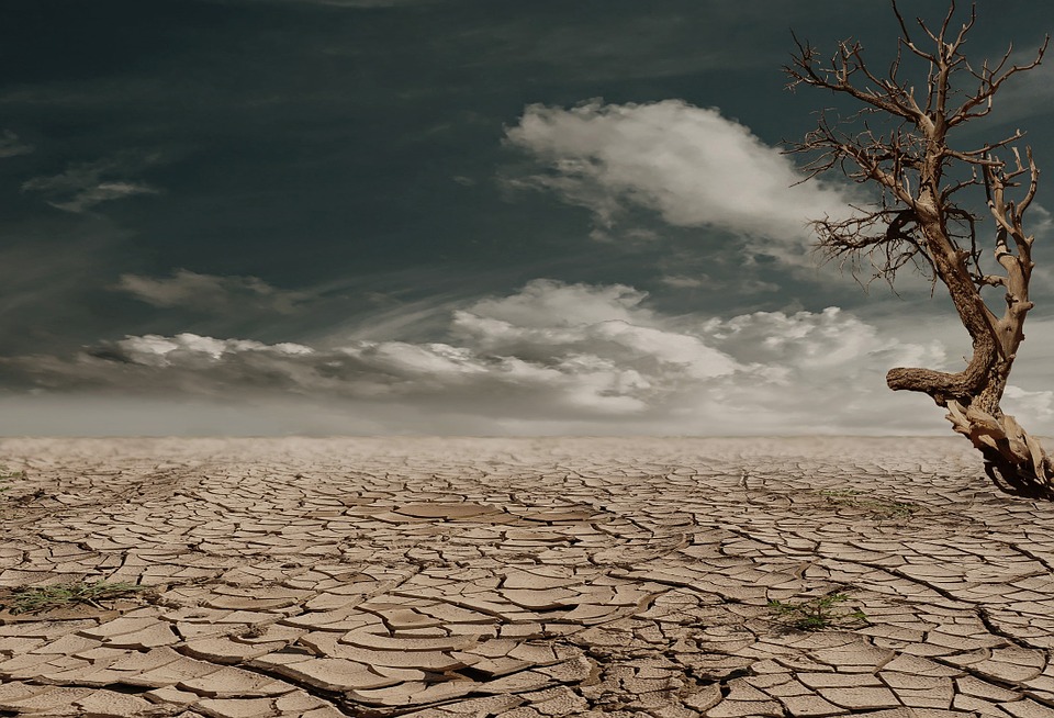 Università di Sassari e Cina insieme per la lotta contro la desertificazione