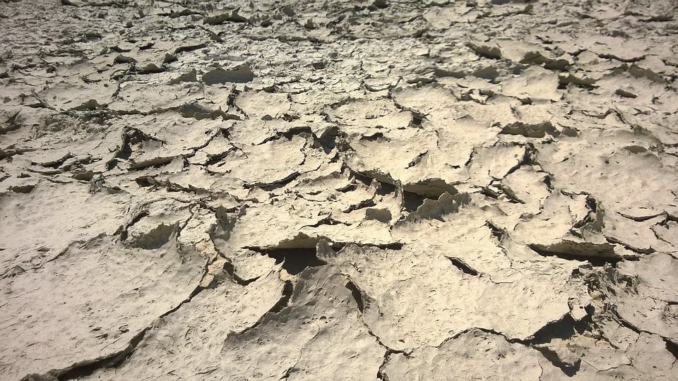 Olbia. Siccità: chiesta l'irrigazione straordinaria