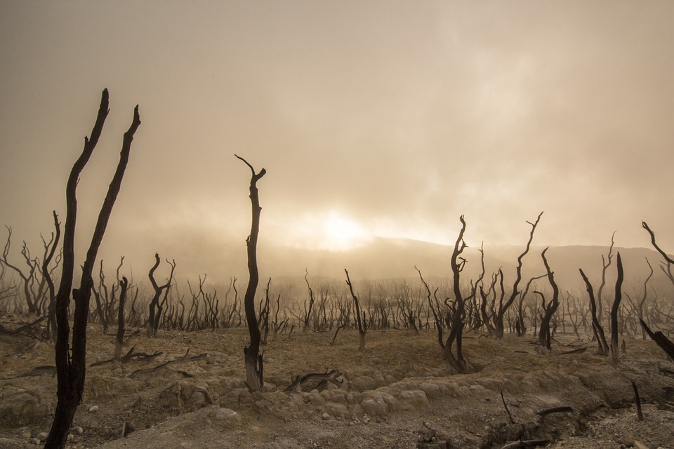 Gallura, siccità: è il biennio peggiore dell'ultimo secolo