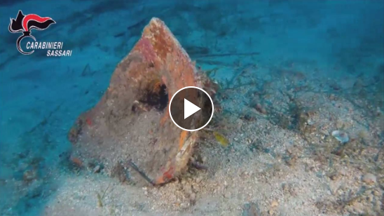 **VIDEO** Reperti archeologici a 30m di profondità: ecco le spettacolari immagini