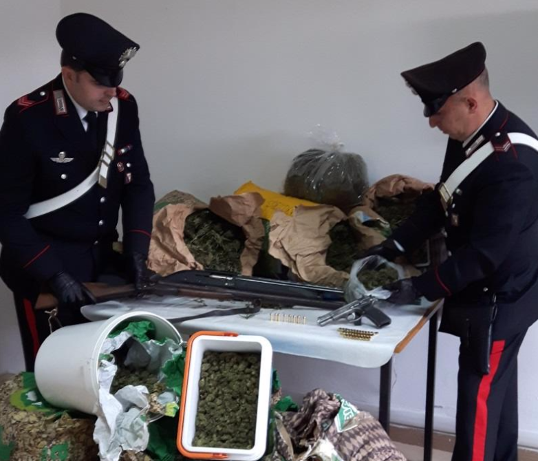 Abigeato e droga: sequestrati 38 Kg di marijuana nel Nord Sardegna