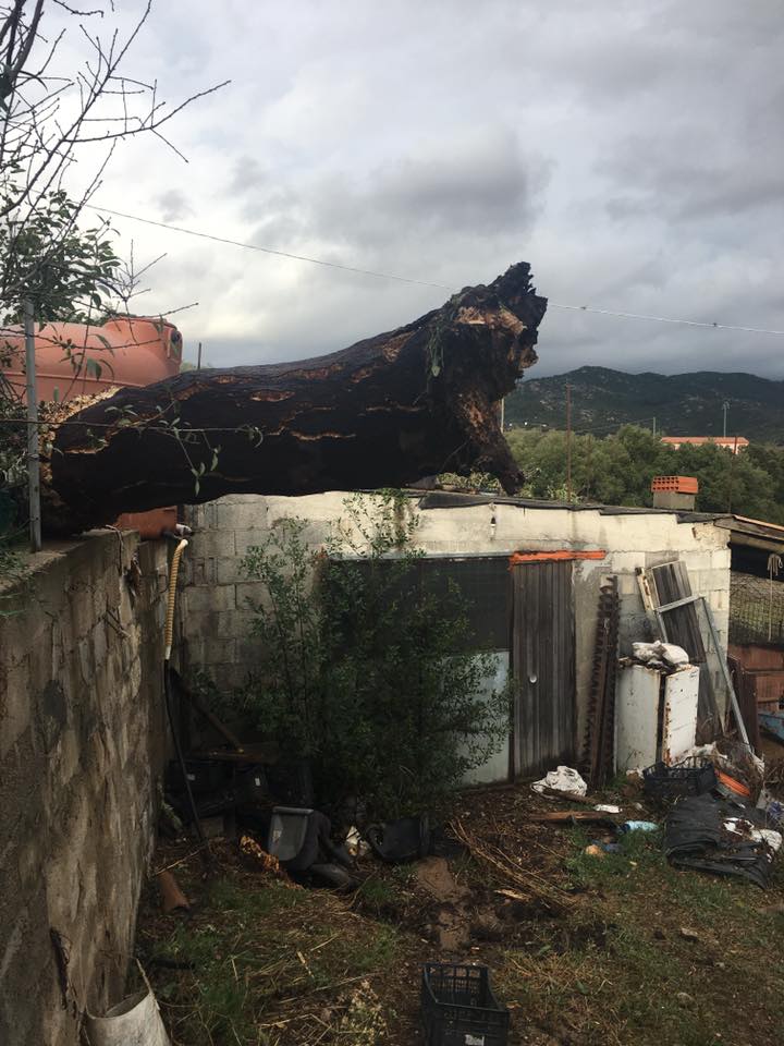 Tromba d'aria in Gallura: case danneggiate, danni ingenti