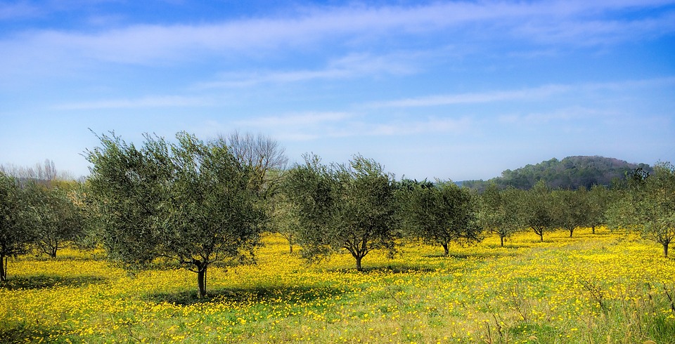 Aree rurali e paesaggio, Erriu: 