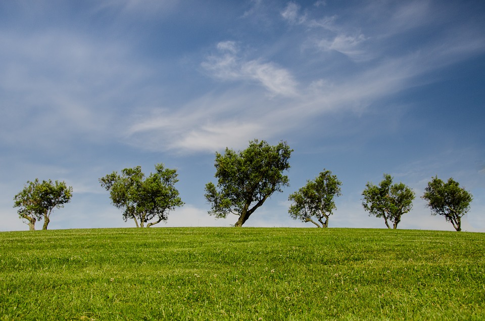 Ambiente: la Regione ha un nuovo “Piano per la qualità dell’aria ambiente”