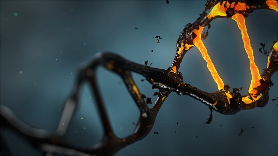 Il DNA Sardo svela le origini dell'Europa