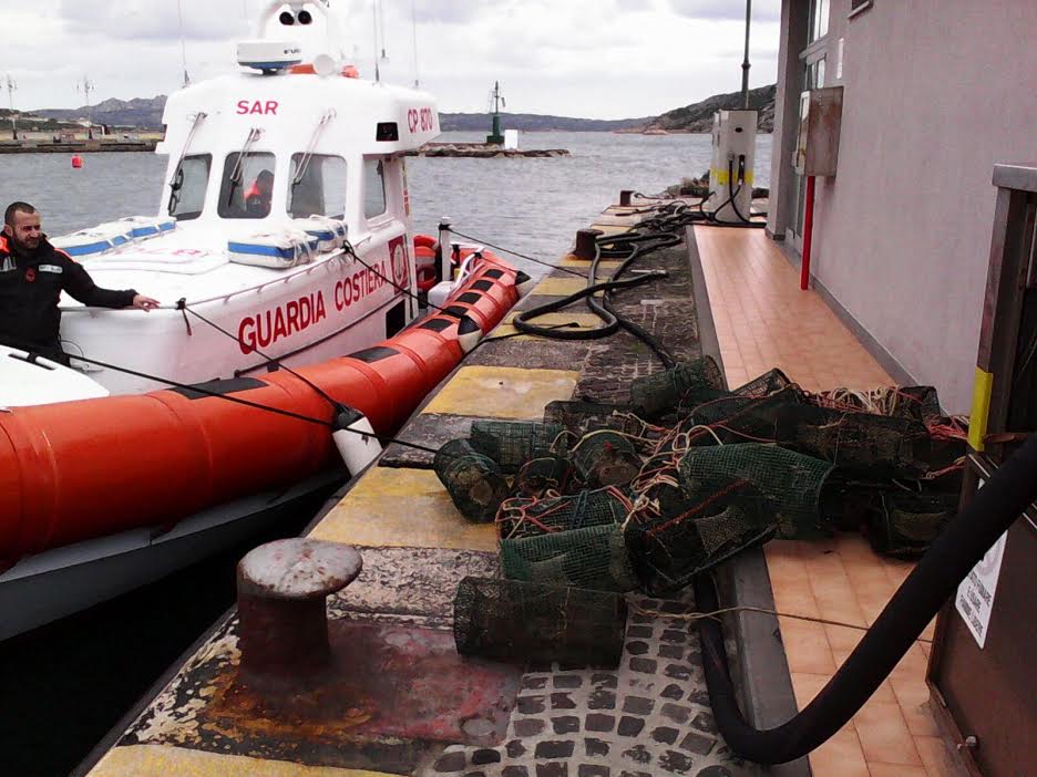 Pesca illegale di ricci: sanzioni e sequestri da parte della Guardia Costiera