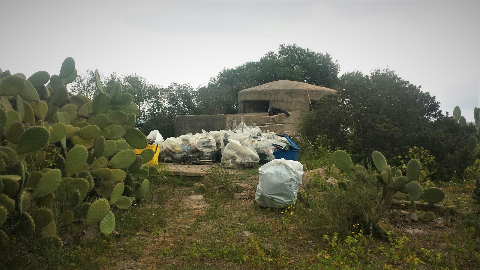 Olbia, Mogadisco è pulita: decine i sacchi di spazzatura riempiti