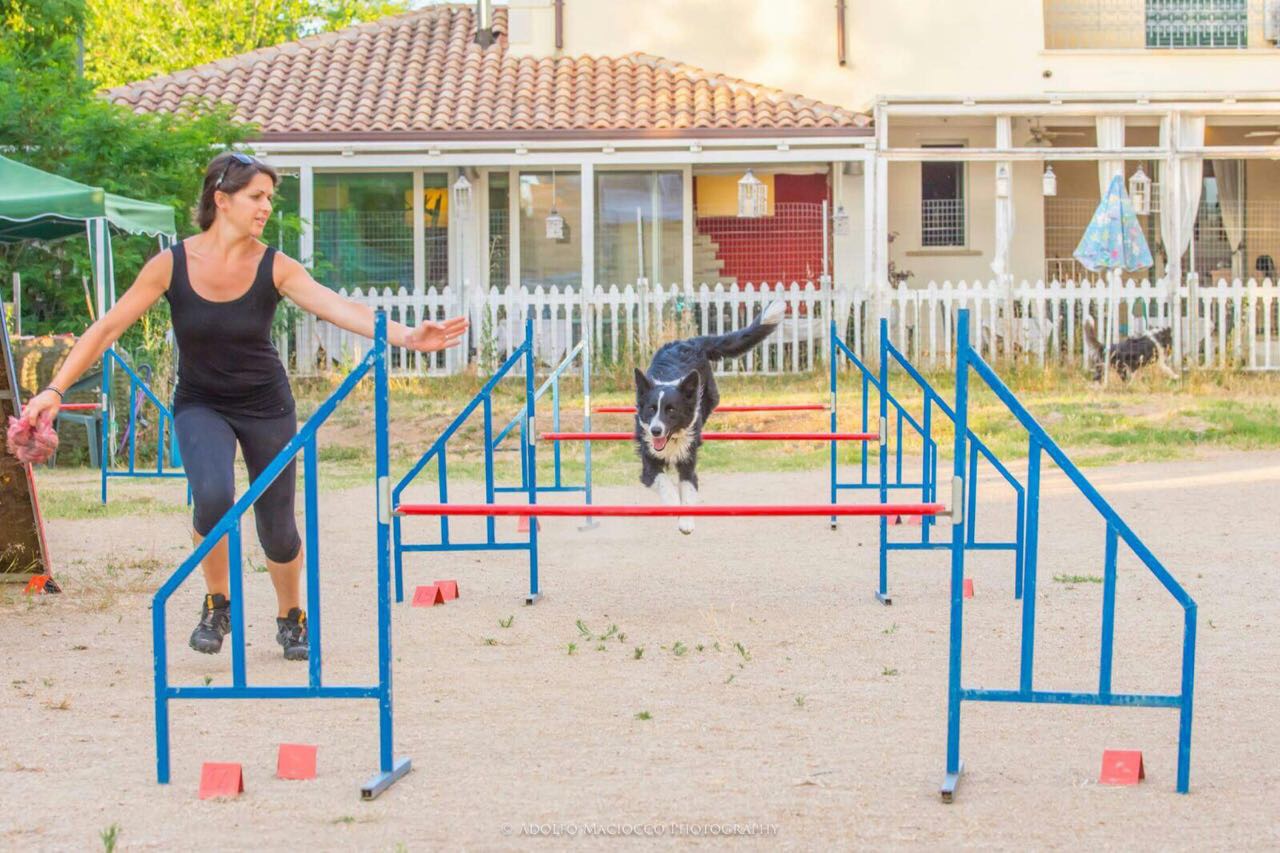 Olbia, arriva la Dog Dance: anche i cani ballano