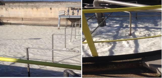 Buddusò, scarti lattiero-caseari nel depuratore: la denuncia di Abbanoa