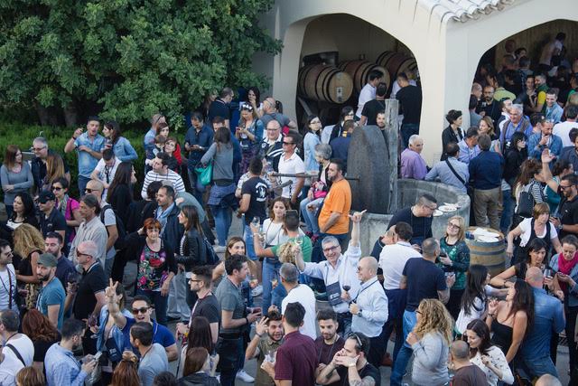 Cantine Aperte in Sardegna: 13 cantine celebrano la festa più attesa del vino