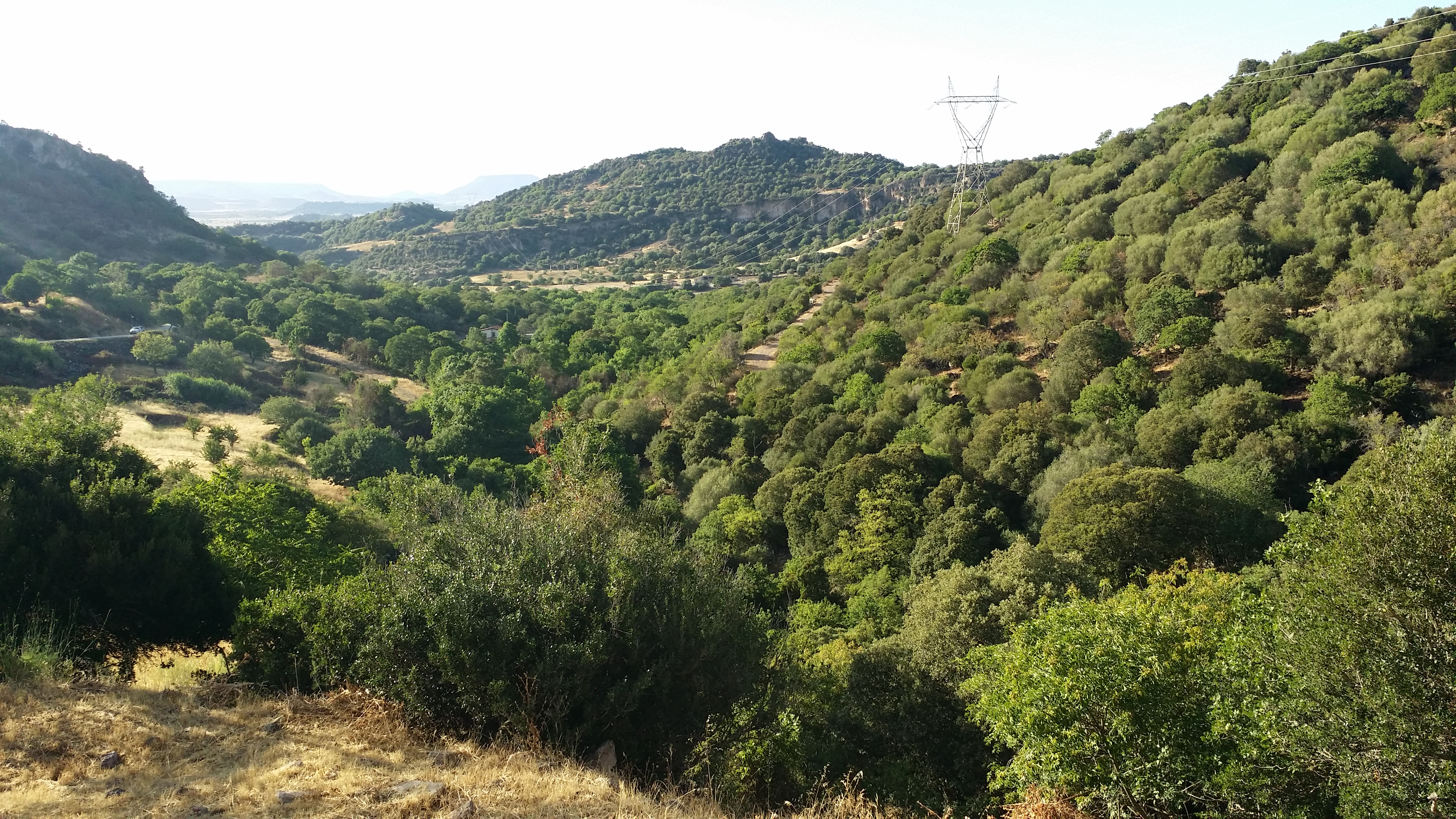 Rilancio Parco Mariani: firmata convenzione