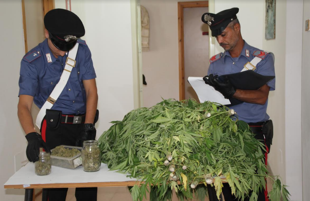 Coltiva cannabis in giardino: arrestato
