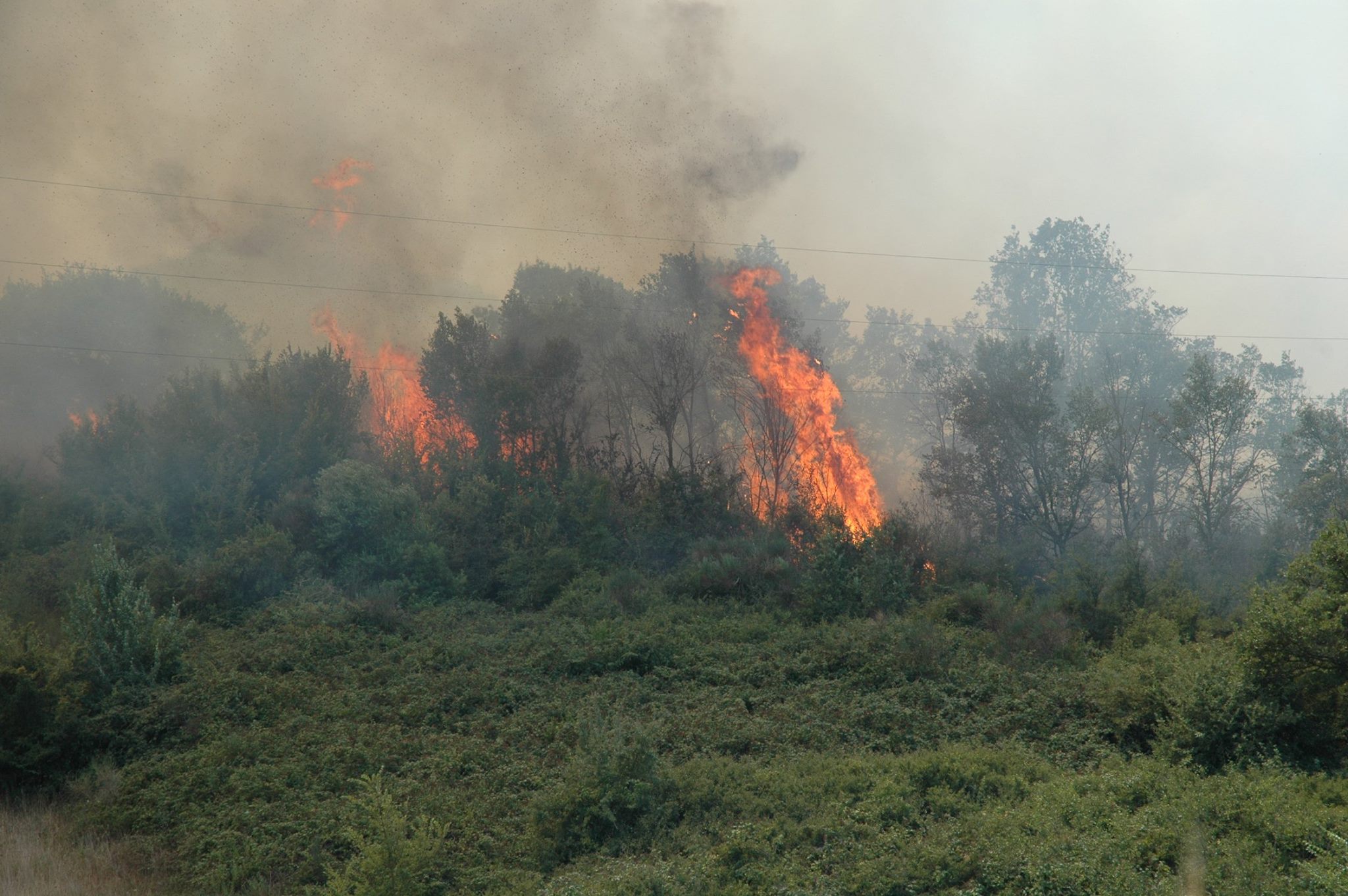 Nord Sardegna: domati tre incendi dal Corpo Forestale