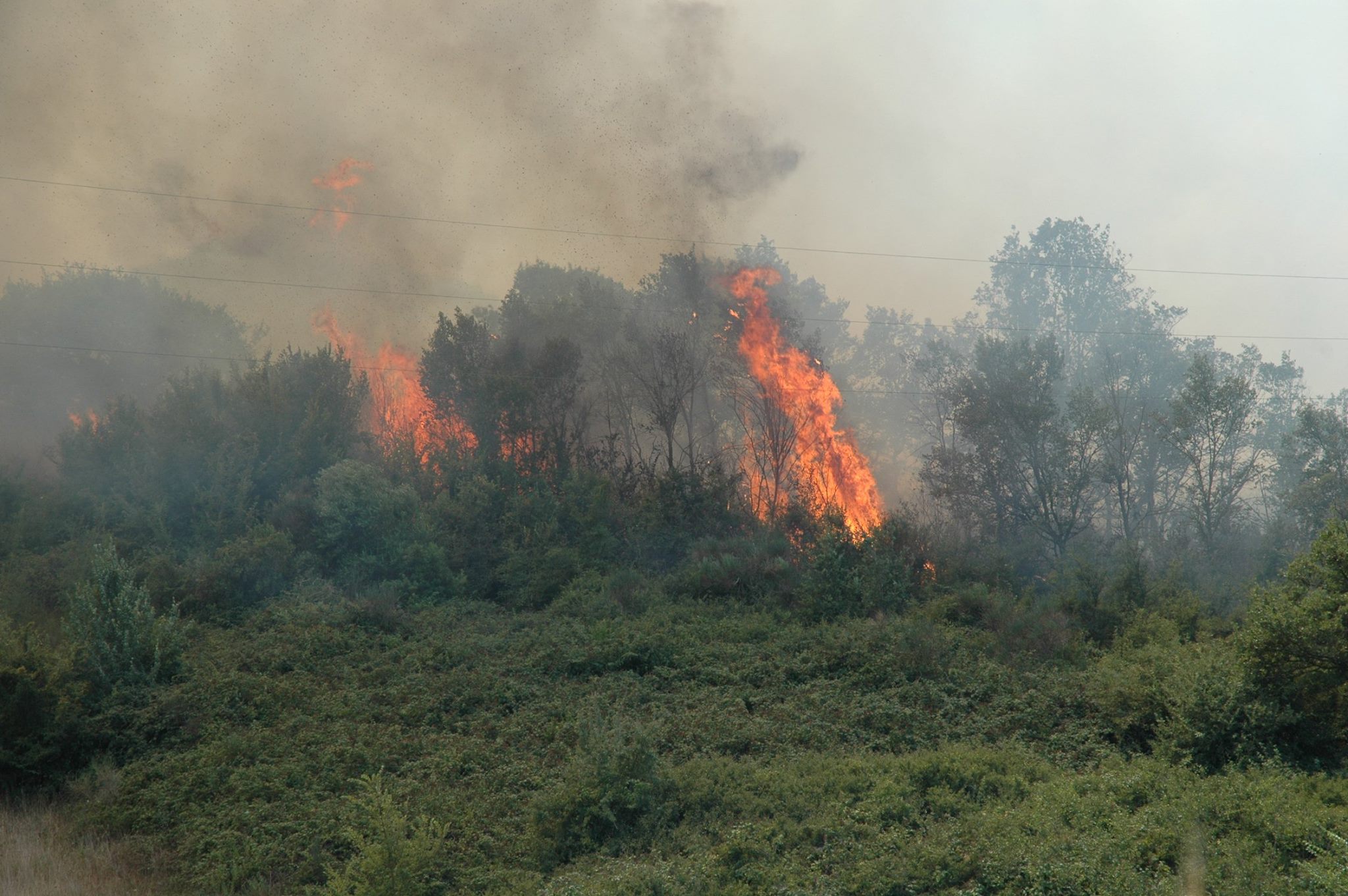 Alà dei Sardi e la piaga degli incendi: un riconoscimento ai volontari