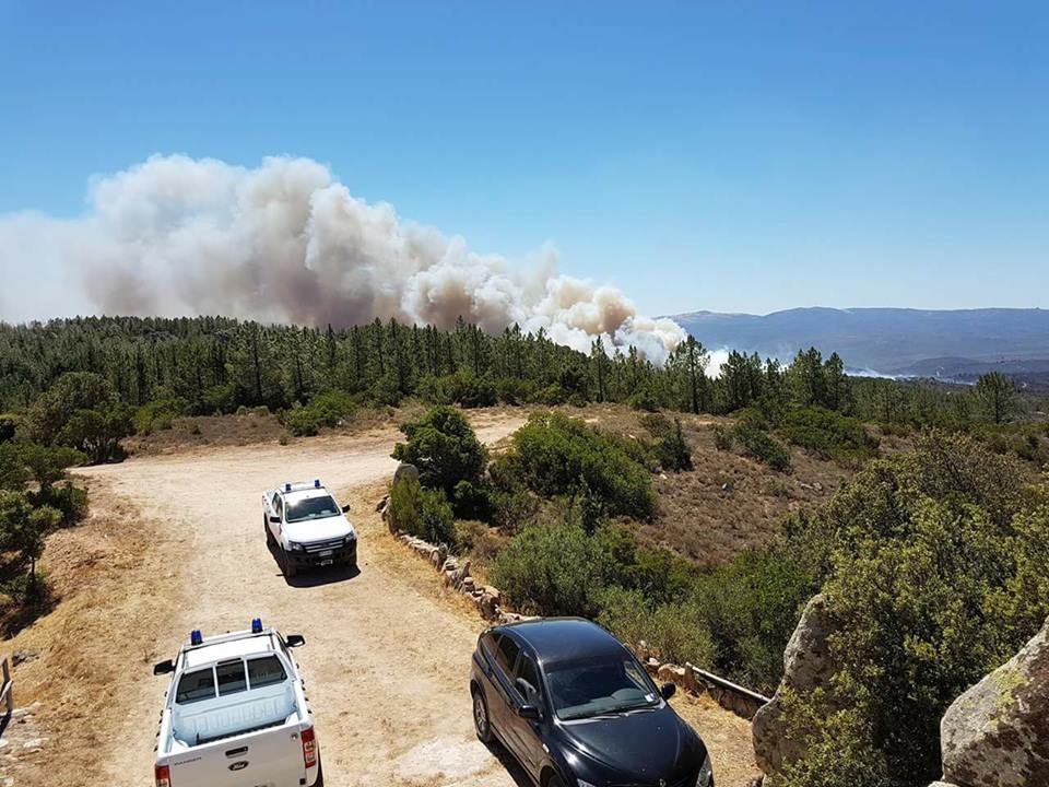 Incendi in Sardegna sono dolosi: indagini in corso