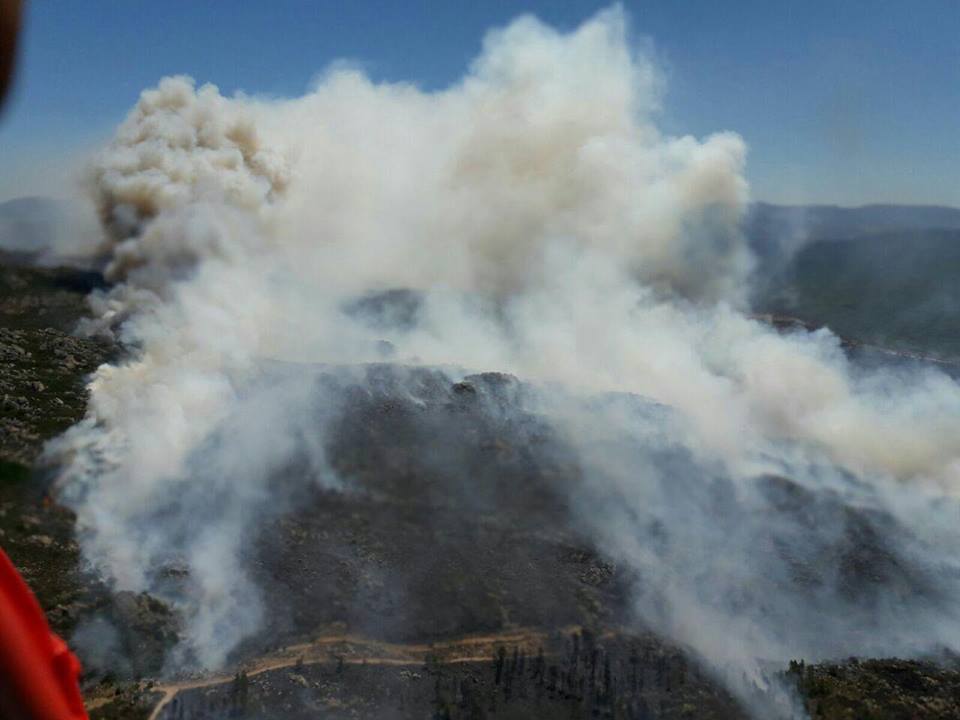 Gallura, ancora un incendio a Porto Pozzo: soccorsi immediati