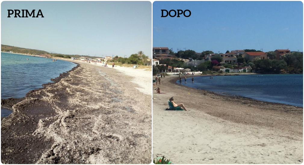 Olbia: 