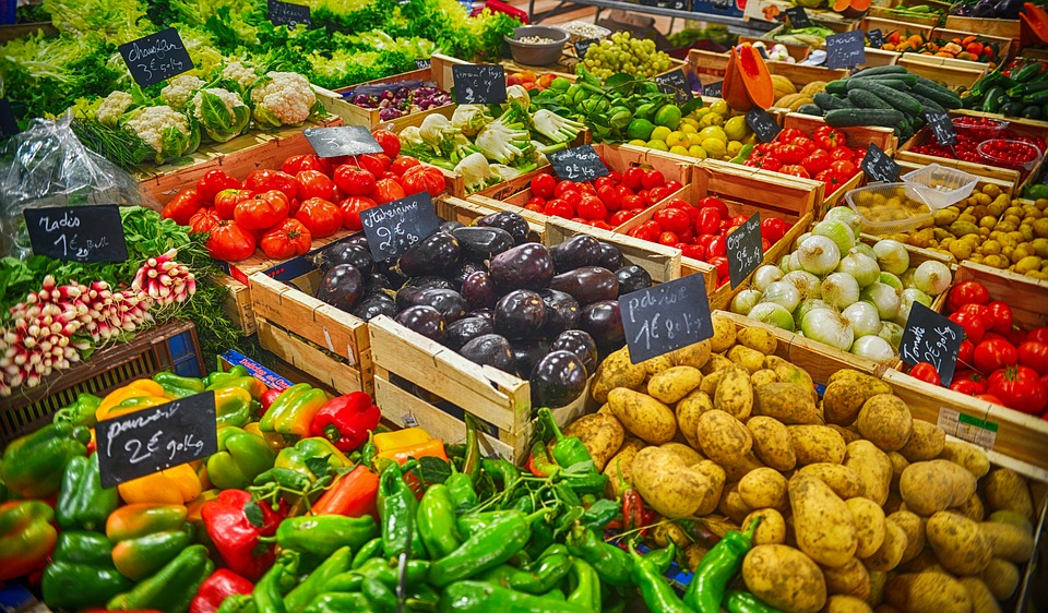 Gallura: dieta a base vegetale aiuto contro la sclerosi multipla