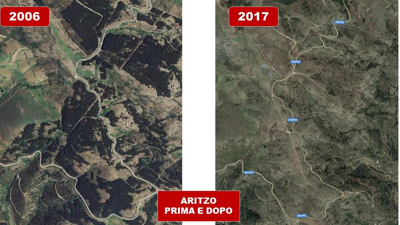 Foreste disboscate: la precisazione della Regione Sardegna