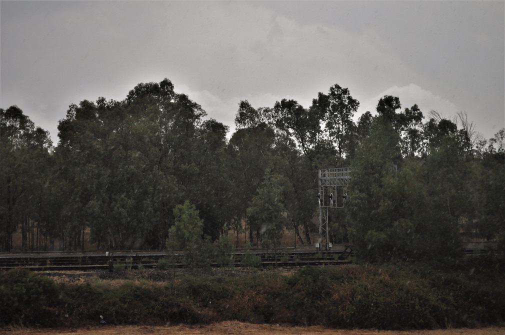 **VIDEO** Olbia: tempesta d'acqua sulla città