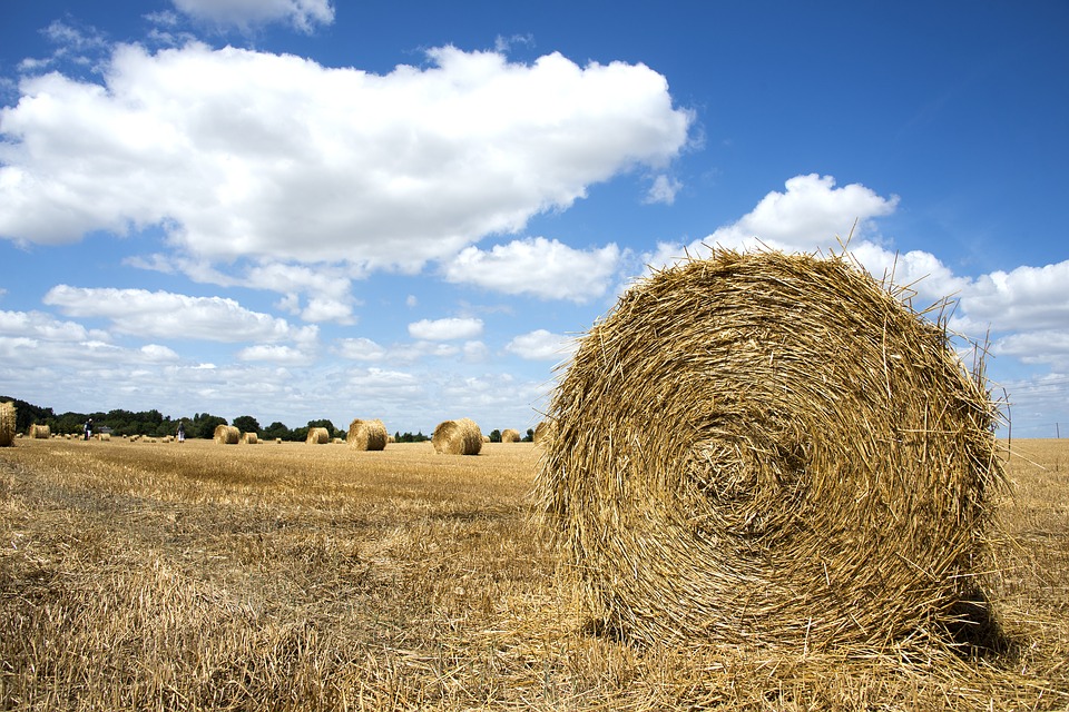 Agricoltore muore schiacciato da balle di fieno