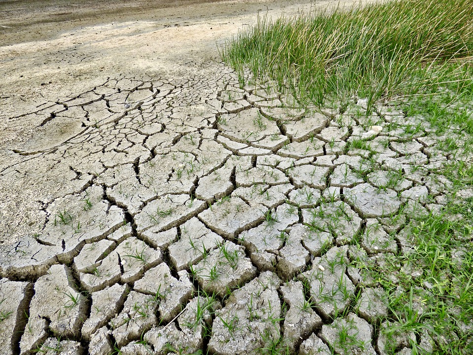 Siccità, riconosciuta la calamità: in pagamento 45 milioni di aiuti