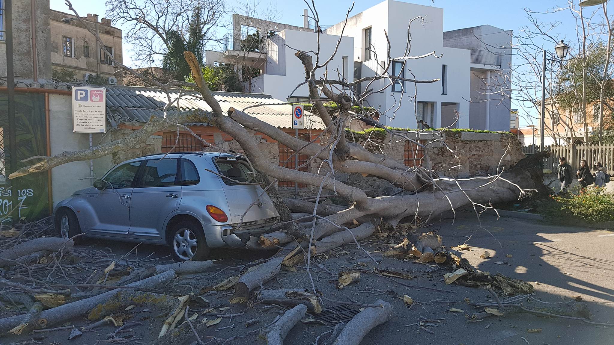 Olbia, vento rinforzato: raffiche a 70 Km/h