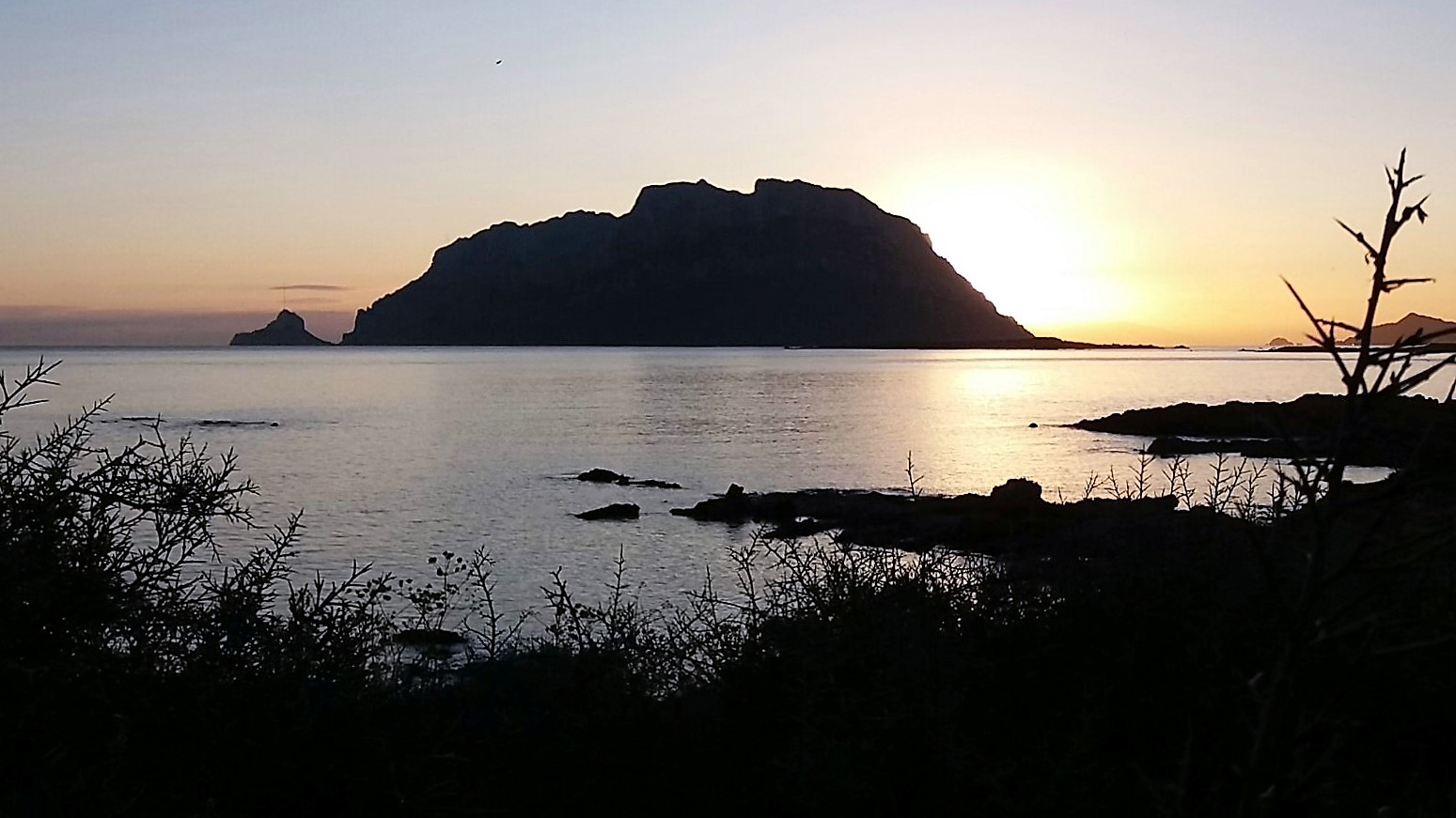 L'Isola di Tavolara. Poesia ottocentesca in terranovese del Vicario Antonio Spano (con traduzione)