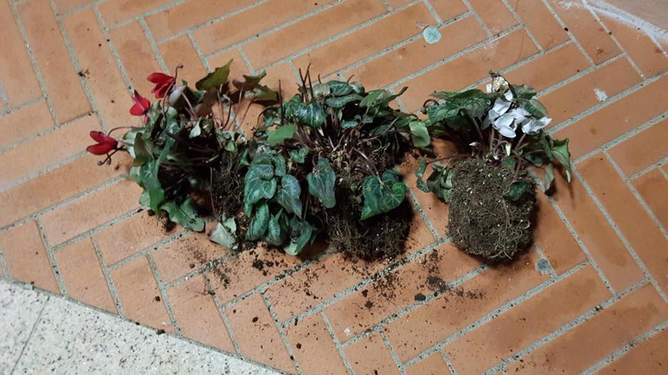 Olbia: vandalizzata Piazza Etna