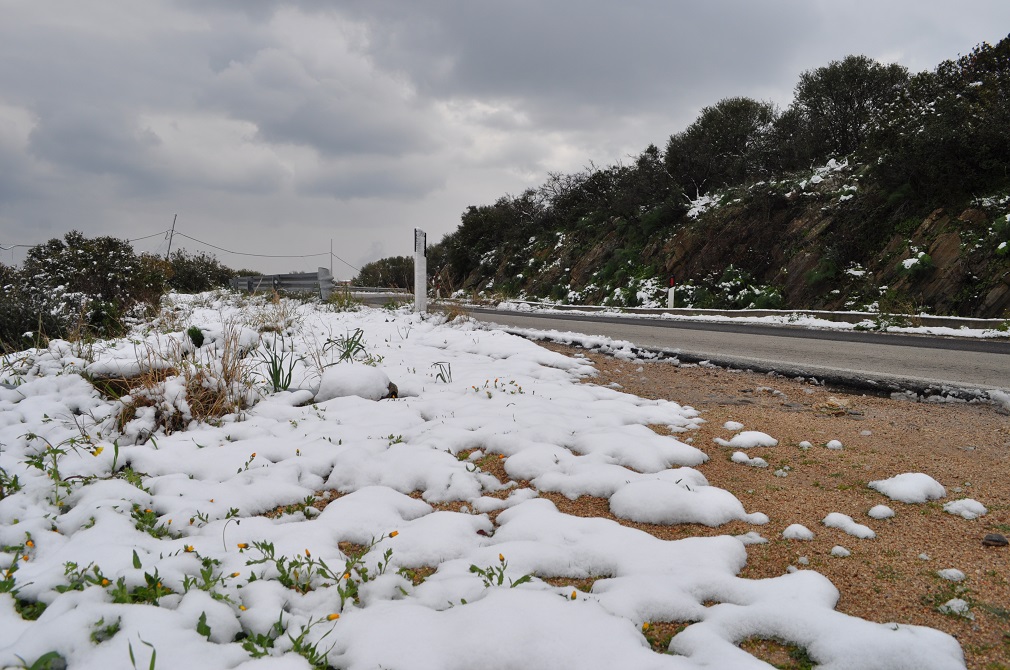 Nevica in Sardegna: primi fiocchi di neve e temperature polari