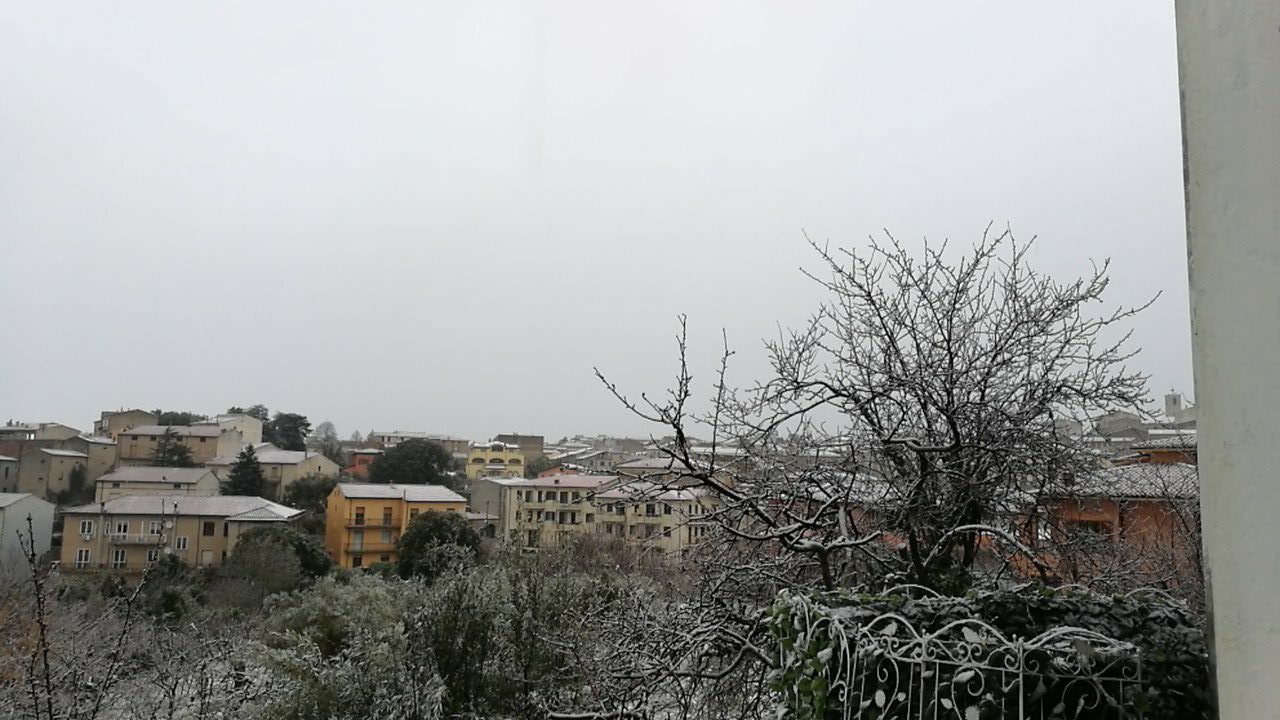 La Gallura si sveglia ricoperta di candida neve