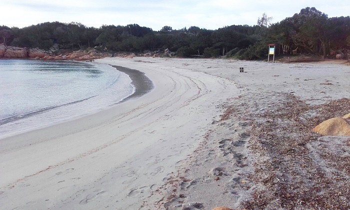 Arzachena: via alla pulizia delle spiagge
