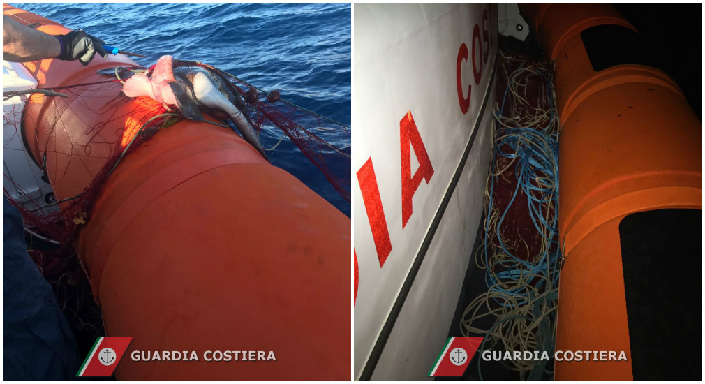 Gallura: Guardia Costiera Olbia sequestra 1500 m di reti da pesca