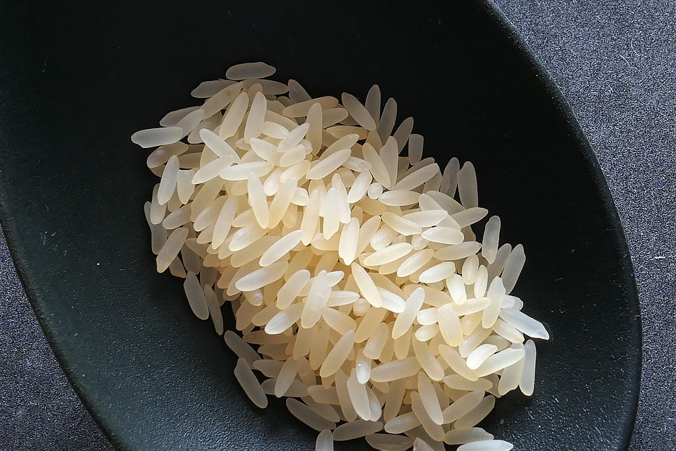 Università di Sassari, Agricoltura: nuove possibili tecniche di coltivazione del riso