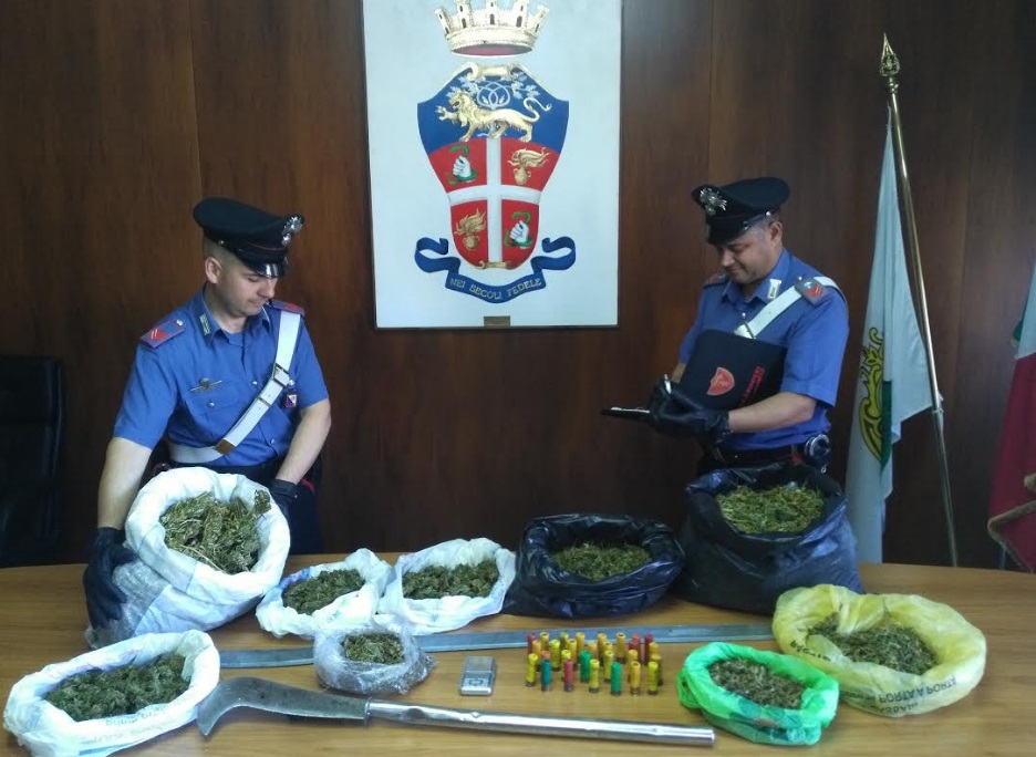 Nord Sardegna, lite in famiglia con deposito di droga: un arresto e due denunce