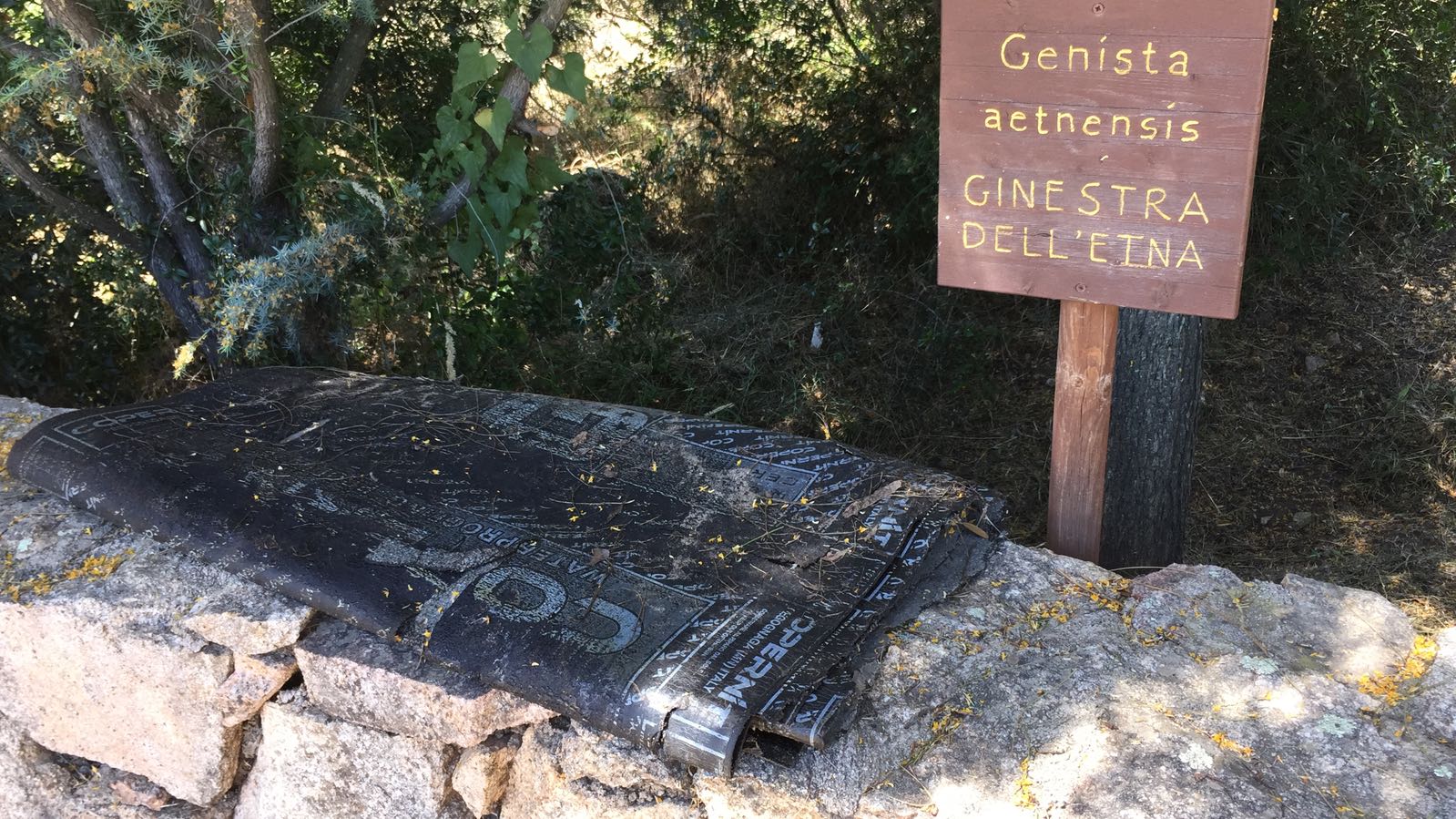 Olbia e la spazzatura: dal centro ai siti archeologici c'è di tutto, anche carta catramata